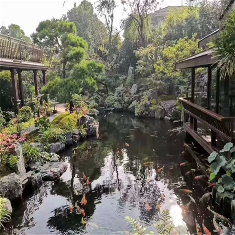 长沙小庭院假山鱼池